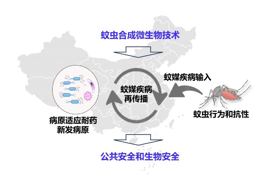 2025国家重点研发计划重点资...
